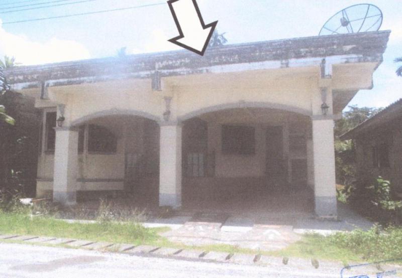 บูกิต เจาะไอร้อง นราธิวาส