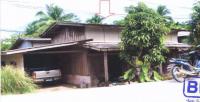 บ้านเดี่ยวหลุดจำนอง ธ.ธนาคารอาคารสงเคราะห์ ซากอ ศรีสาคร นราธิวาส