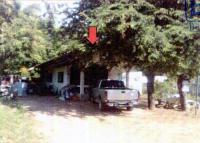 บ้านเดี่ยวหลุดจำนอง ธ.ธนาคารอาคารสงเคราะห์ เทพาลัย คง นครราชสีมา