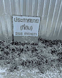 ที่ดินว่างเปล่าหลุดจำนอง ธ.ธนาคารกสิกรไทย คูคต ลำลูกกา ปทุมธานี