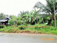 https://www.ohoproperty.com/151896/ธนาคารกสิกรไทย/ขายที่ดินว่างเปล่า/คลองท่อมใต้/คลองท่อม/กระบี่/