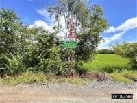 https://www.ohoproperty.com/158341/ธนาคารกสิกรไทย/ขายที่ดินว่างเปล่า/เกษตรวิสัย/เกษตรวิสัย/ร้อยเอ็ด/