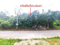 ที่ดินว่างเปล่าหลุดจำนอง ธ.ธนาคารกสิกรไทย ลิปะน้อย เกาะสมุย สุราษฎร์ธานี