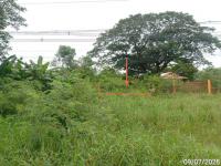 ที่ดินว่างเปล่าหลุดจำนอง ธ.ธนาคารกสิกรไทย พุขาม วิเชียรบุรี เพชรบูรณ์