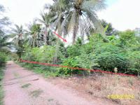 ที่ดินว่างเปล่าหลุดจำนอง ธ.ธนาคารกสิกรไทย ดอนไผ่ ดำเนินสะดวก ราชบุรี
