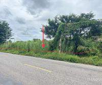 https://www.ohoproperty.com/192105/ธนาคารกสิกรไทย/ขายที่ดินว่างเปล่า/งิ้วราย/ตะพานหิน/พิจิตร/
