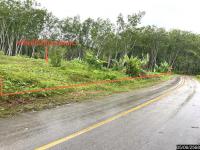 ที่ดินว่างเปล่าหลุดจำนอง ธ.ธนาคารกสิกรไทย หนองช้างแล่น ห้วยยอด ตรัง