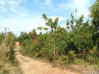 ที่ดินว่างเปล่าหลุดจำนอง ธ.ธนาคารกสิกรไทย ร้องเข็ม ร้องกวาง แพร่
