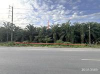 ที่ดินว่างเปล่าหลุดจำนอง ธ.ธนาคารกสิกรไทย ท่าโรงช้าง พุนพิน สุราษฎร์ธานี