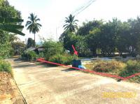 ที่ดินว่างเปล่าหลุดจำนอง ธ.ธนาคารกสิกรไทย บางนายสี ตะกั่วป่า พังงา