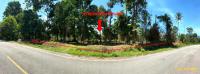 ที่ดินว่างเปล่าหลุดจำนอง ธ.ธนาคารกสิกรไทย ซากอ ศรีสาคร นราธิวาส