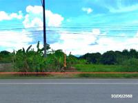 ที่ดินว่างเปล่าหลุดจำนอง ธ.ธนาคารกสิกรไทย ป่าตาล ขุนตาล เชียงราย