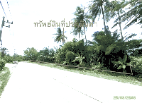 ที่ดินว่างเปล่าหลุดจำนอง ธ.ธนาคารกสิกรไทย ไชยคราม ดอนสัก สุราษฎร์ธานี
