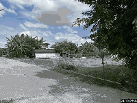 https://www.ohoproperty.com/236508/ธนาคารกสิกรไทย/ขายที่ดินว่างเปล่า/หนองกุงทับม้า/วังสามหมอ/อุดรธานี/