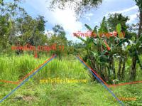 ที่ดินว่างเปล่าหลุดจำนอง ธ.ธนาคารกสิกรไทย ชัยบุรี ชัยบุรี สุราษฎร์ธานี