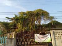 บ้านเดี่ยวหลุดจำนอง ธ.ธนาคารกสิกรไทย หนองกระโดน เมืองนครสวรรค์ นครสวรรค์