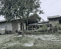 บ้านเดี่ยวหลุดจำนอง ธ.ธนาคารกสิกรไทย อิปัน พระแสง สุราษฎร์ธานี