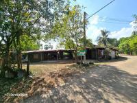 บ้านเดี่ยวหลุดจำนอง ธ.ธนาคารกสิกรไทย บ้านเชี่ยน หันคา ชัยนาท