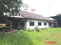 https://www.ohoproperty.com/167590/ธนาคารกสิกรไทย/ขายบ้านเดี่ยว/หนองตอง/หางดง/เชียงใหม่/