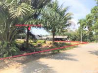 https://www.ohoproperty.com/165696/ธนาคารกสิกรไทย/ขายบ้านเดี่ยว/ช้างกลาง/ช้างกลาง/นครศรีธรรมราช/