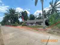 https://www.ohoproperty.com/177214/ธนาคารกสิกรไทย/ขายบ้านเดี่ยว/ห้วยน้ำขาว/คลองท่อม/กระบี่/