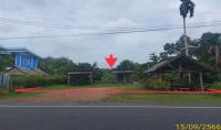 https://www.ohoproperty.com/204985/ธนาคารกสิกรไทย/ขายบ้านเดี่ยว/หลักช้าง/ช้างกลาง/นครศรีธรรมราช/