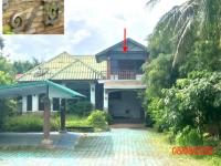 https://www.ohoproperty.com/227603/ธนาคารกสิกรไทย/ขายบ้านเดี่ยว/แม่แรง/ป่าซาง/ลำพูน/