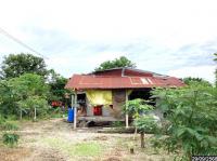 https://www.ohoproperty.com/235548/ธนาคารกสิกรไทย/ขายบ้านเดี่ยว/เอราวัณ/เอราวัณ/เลย/