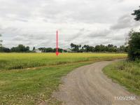 https://www.ohoproperty.com/158119/ธนาคารกสิกรไทย/ขายอาคารโรงงาน/ห้วยเกตุ/ตะพานหิน/พิจิตร/