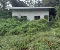https://www.ohoproperty.com/181765/ธนาคารกสิกรไทย/ขายเพิงอเนกประสงค์/ห้วยเกตุ/ตะพานหิน/พิจิตร/