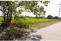 https://www.ohoproperty.com/220457/ธนาคารไทยพาณิชย์/ขายที่ดินว่างเปล่า/เมืองเก่า/เมืองพิจิตร/พิจิตร/