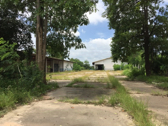 บุ่ง เมืองอำนาจเจริญ อำนาจเจริญ