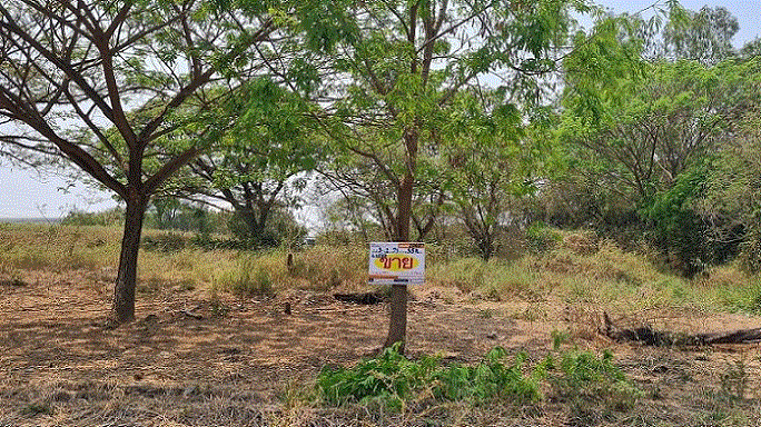 ที่ดินหลุดจำนอง ธ.ธนาคารกรุงเทพ ศาลาลอย ท่าเรือ พระนครศรีอยุธยา