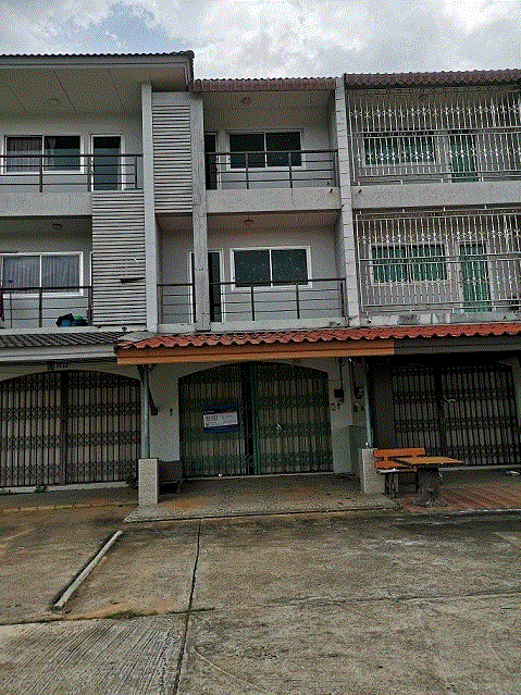 สะเดา สะเดา สงขลา