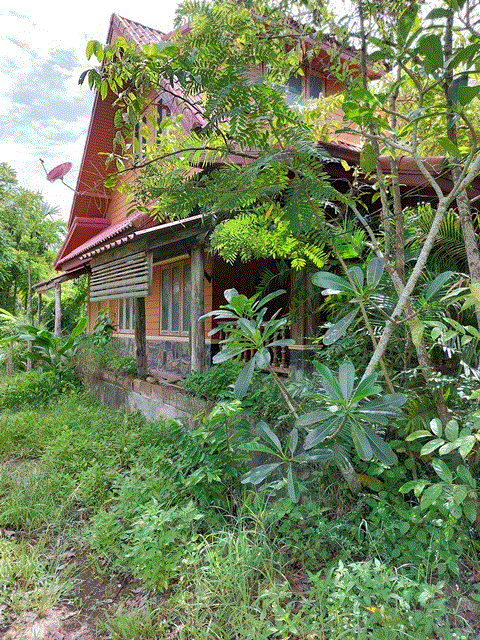 https://www.ohoproperty.com/185355/ธนาคารกรุงเทพ/ขายบ้าน/ท่ายาง/เมืองชุมพร/ชุมพร/