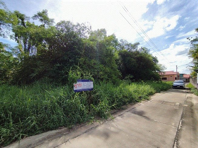 ที่ดินหลุดจำนอง ธ.ธนาคารกรุงเทพ ท่าตำหนัก นครชัยศรี นครปฐม