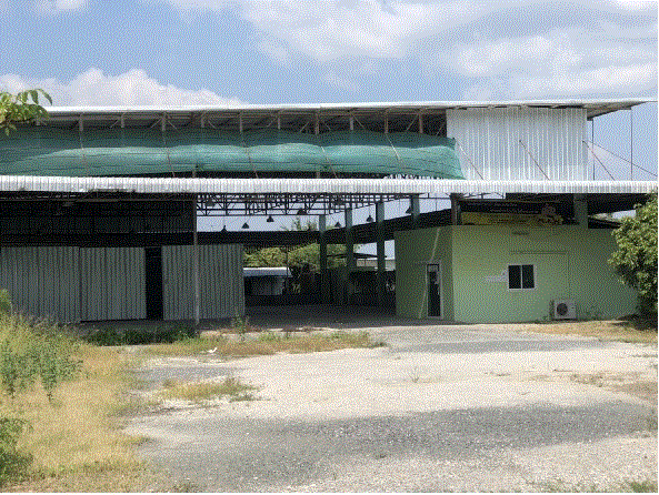 https://www.ohoproperty.com/185516/ธนาคารกรุงเทพ/ขายโรงงาน/หนองแฝก/สารภี/เชียงใหม่/
