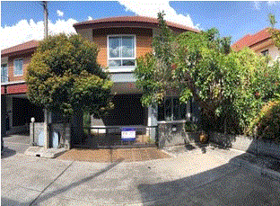 ต้นเปา สันกำแพง เชียงใหม่