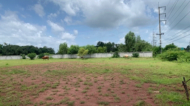 แสลงพันธ์ เมืองสุรินทร์ สุรินทร์