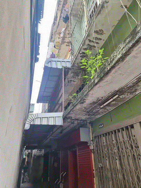 อาคารพาณิชย์หลุดจำนอง ธ.ธนาคารกรุงเทพ จักรวรรดิ สัมพันธวงศ์ กรุงเทพมหานคร