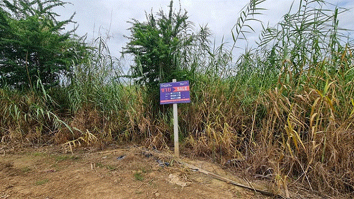 ทับผึ้ง ศรีสำโรง สุโขทัย