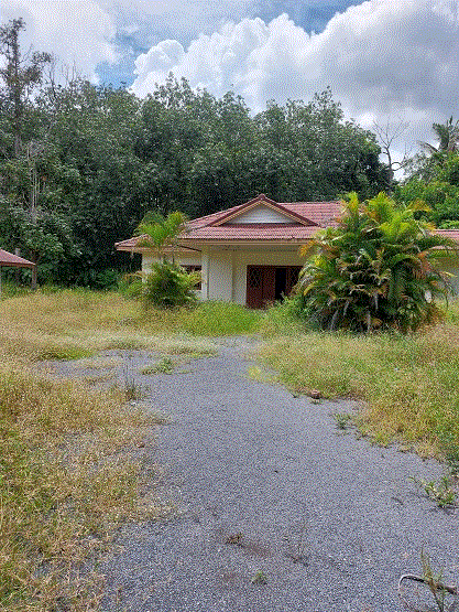 บ้านหลุดจำนอง ธ.ธนาคารกรุงเทพ ป่าร่อน กาญจนดิษฐ์ สุราษฎร์ธานี