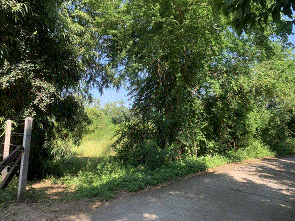 ที่ดินหลุดจำนอง ธ.ธนาคารกรุงเทพ   