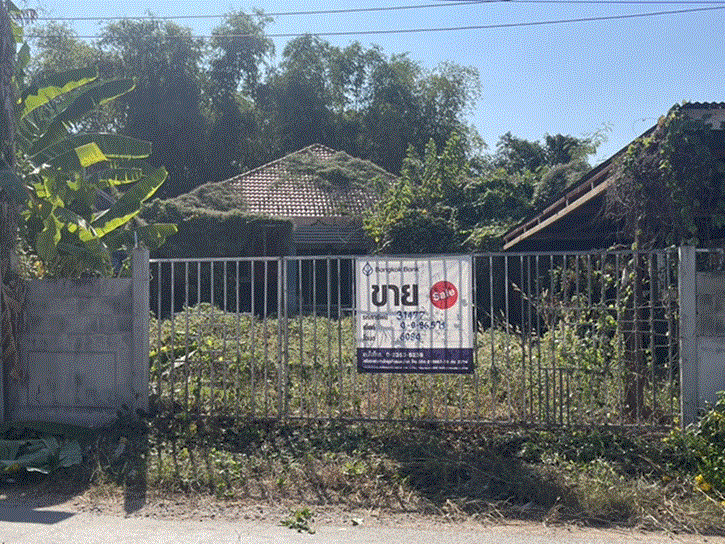 วังทอง วังทอง พิษณุโลก