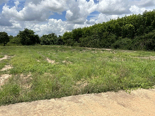 ที่ดินหลุดจำนอง ธ.ธนาคารกรุงเทพ   